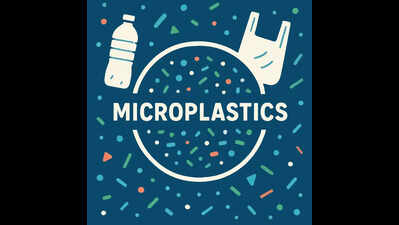 Microplastics found inside popular freshwater fish species in Udupi