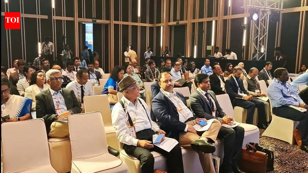 Odisha showcases disaster readiness at Brics meet