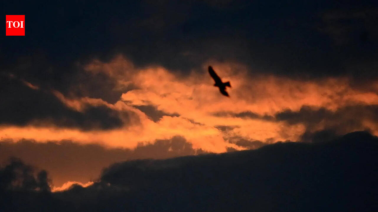 City may get respite from summer heat once SW monsoon sets in over Kerala