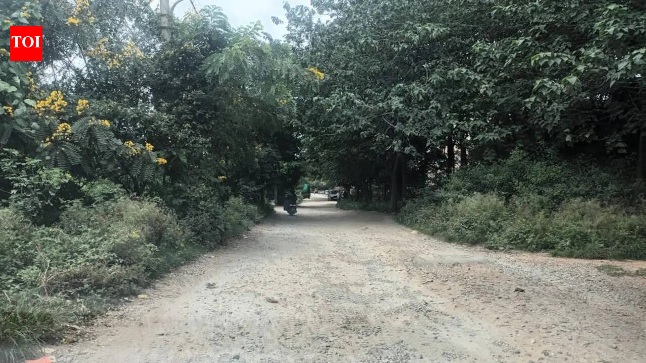 Residents spend own money to keep Bengaluru’s Jalahalli road usable during monsoon