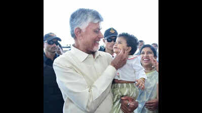 AP laying base in Amaravati for global medical hub: Naidu
