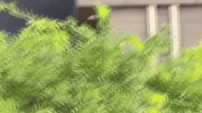 Video shows man trying to escape through smoke in Delhi’s Malviya Nagar hotel fire