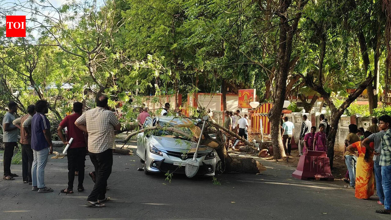 Two injured as tree falls on car, bike | Trichy News - The Times of India