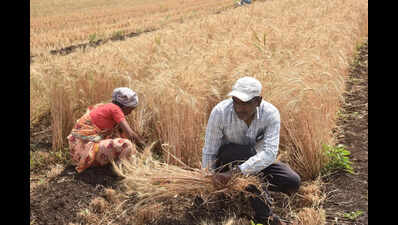 Maharashtra govt links farm loan waiver to previous version of scheme