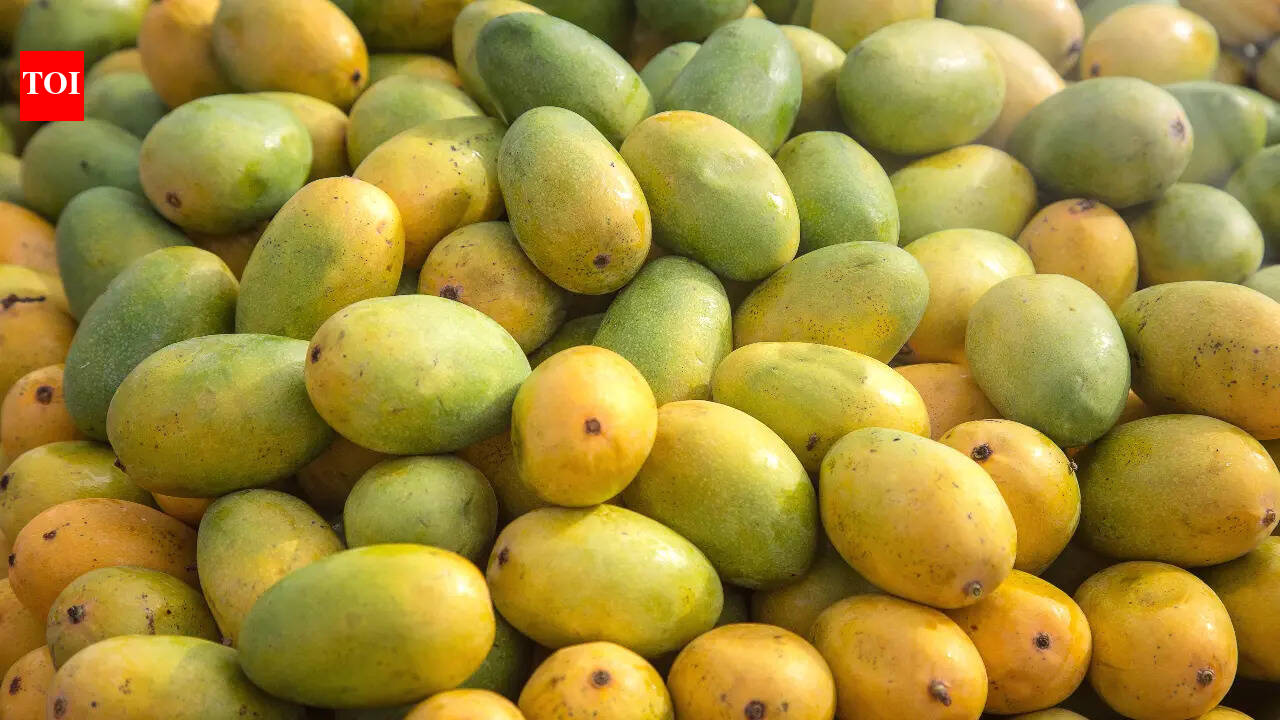 The mango with a Nawabi legacy: Why it was watered with milk