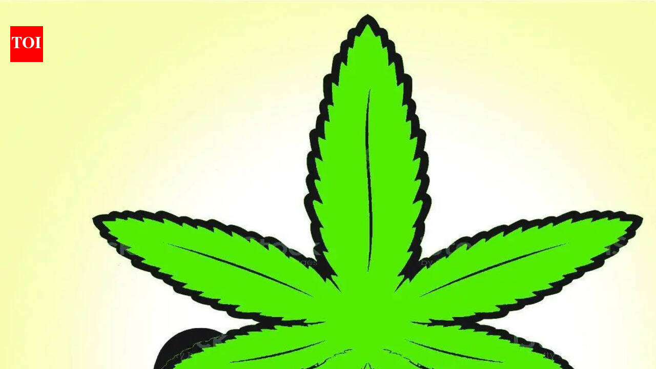 Man held in ganja case