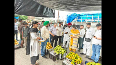Food safety inspection drive at fruit markets