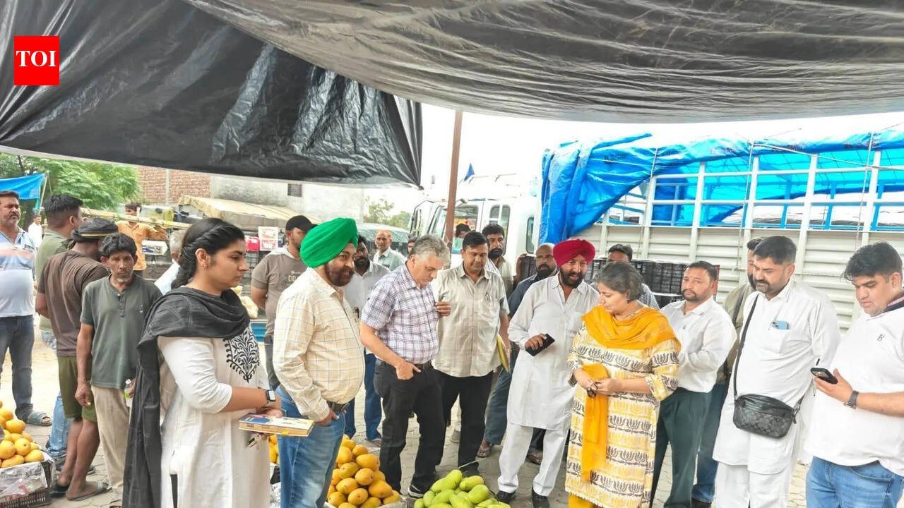 Food safety inspection drive at fruit markets