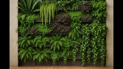Govt approves Rs 58 lakh for vertical garden at assembly complex