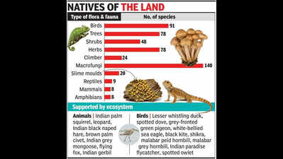 Study finds Goa’s coastal plateau ecosystems thriving with biodiversity