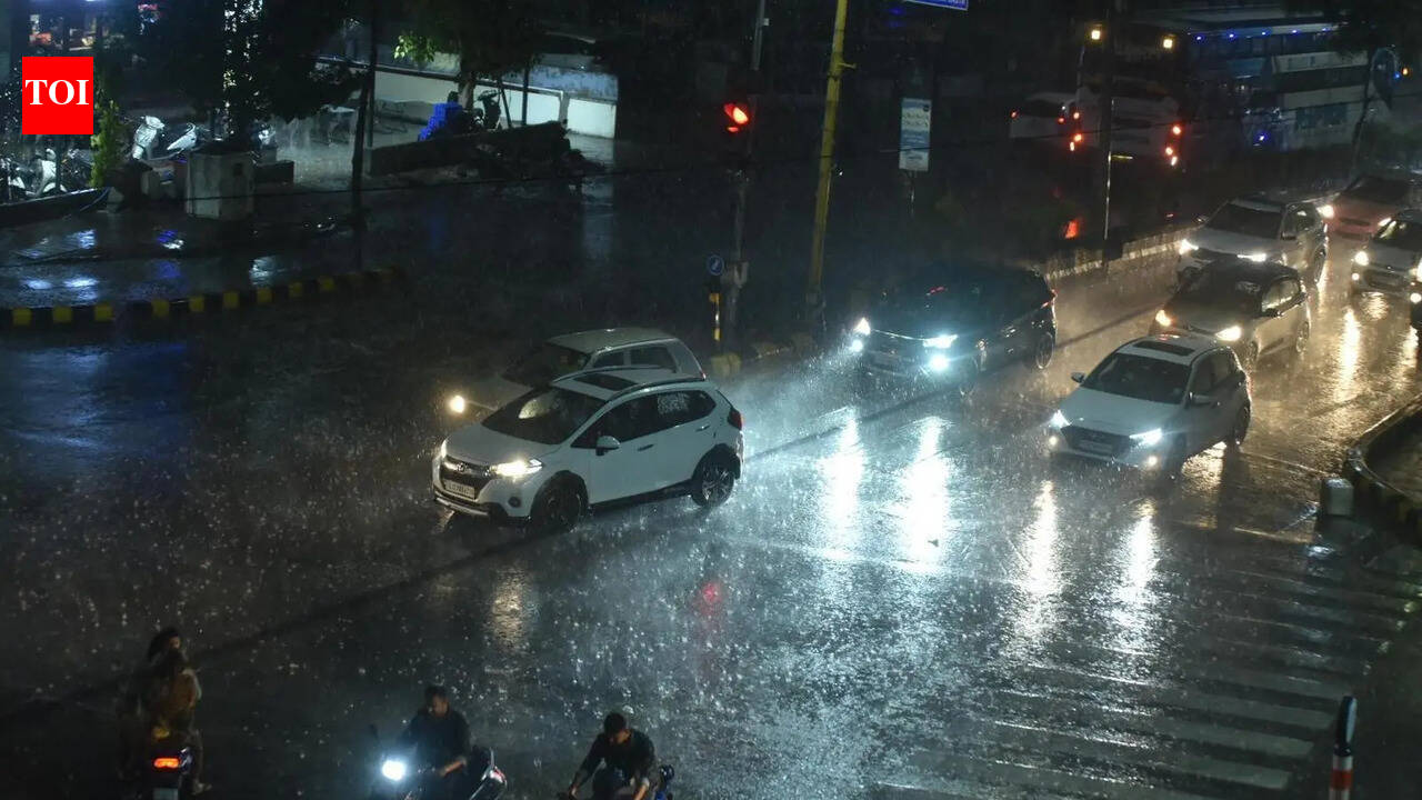 Gujarat ready to achieve zero-casualty monsoon goal: Chief secretary