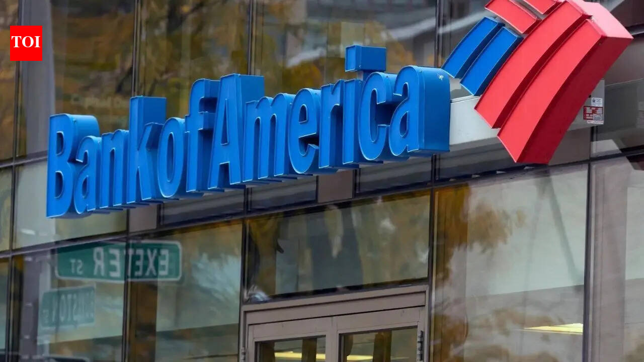 Interest in India strong despite volatility: Bank of America chief