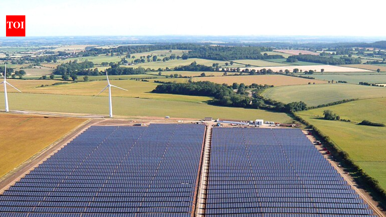 They brought 40 sheep to graze near a solar plant, and showed how solar farms can share land with grazing