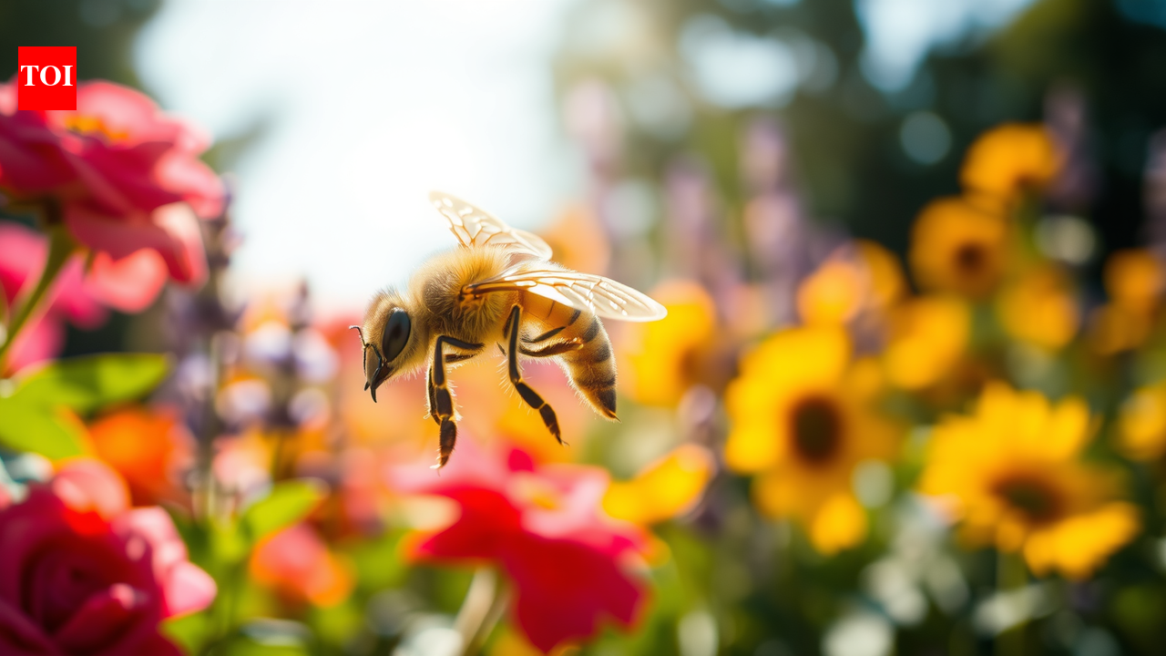 Honeybees just helped scientists build tiny drones that navigate without GPS and find their way home