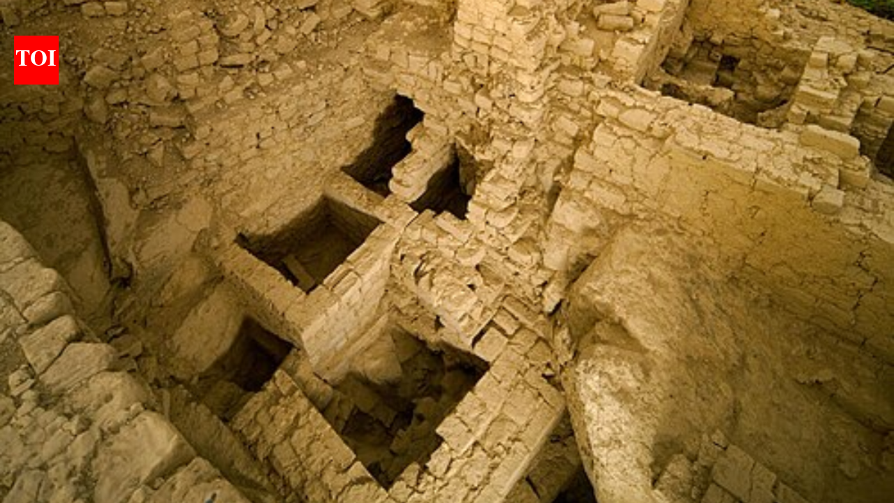 In 2013, archaeologists opened an unlooted tomb in Peru and found women at the heart of Wari power
