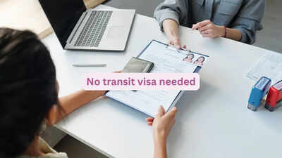 Germany introduces Visa-Free Airport Transit for Indians: What travellers need to know