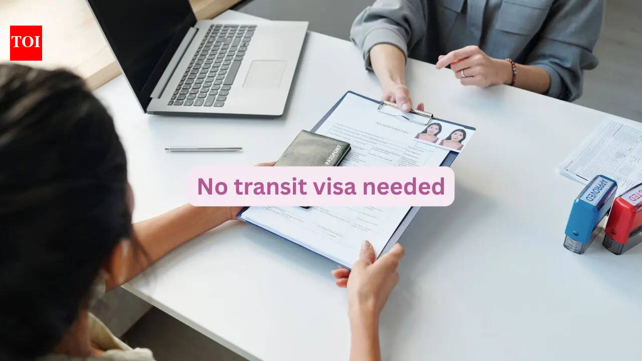 Germany introduces Visa-Free Airport Transit for Indians: What travellers need to know Germany introduces Visa-Free Airport Transit for Indians: What travellers need to know