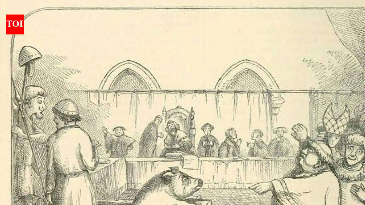 When pigs went to prison and rats faced trial: The strange world of medieval animal justice