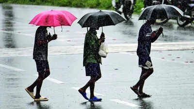 Monsoon sets in over Kerala, marking beginning of rainy season in Ind