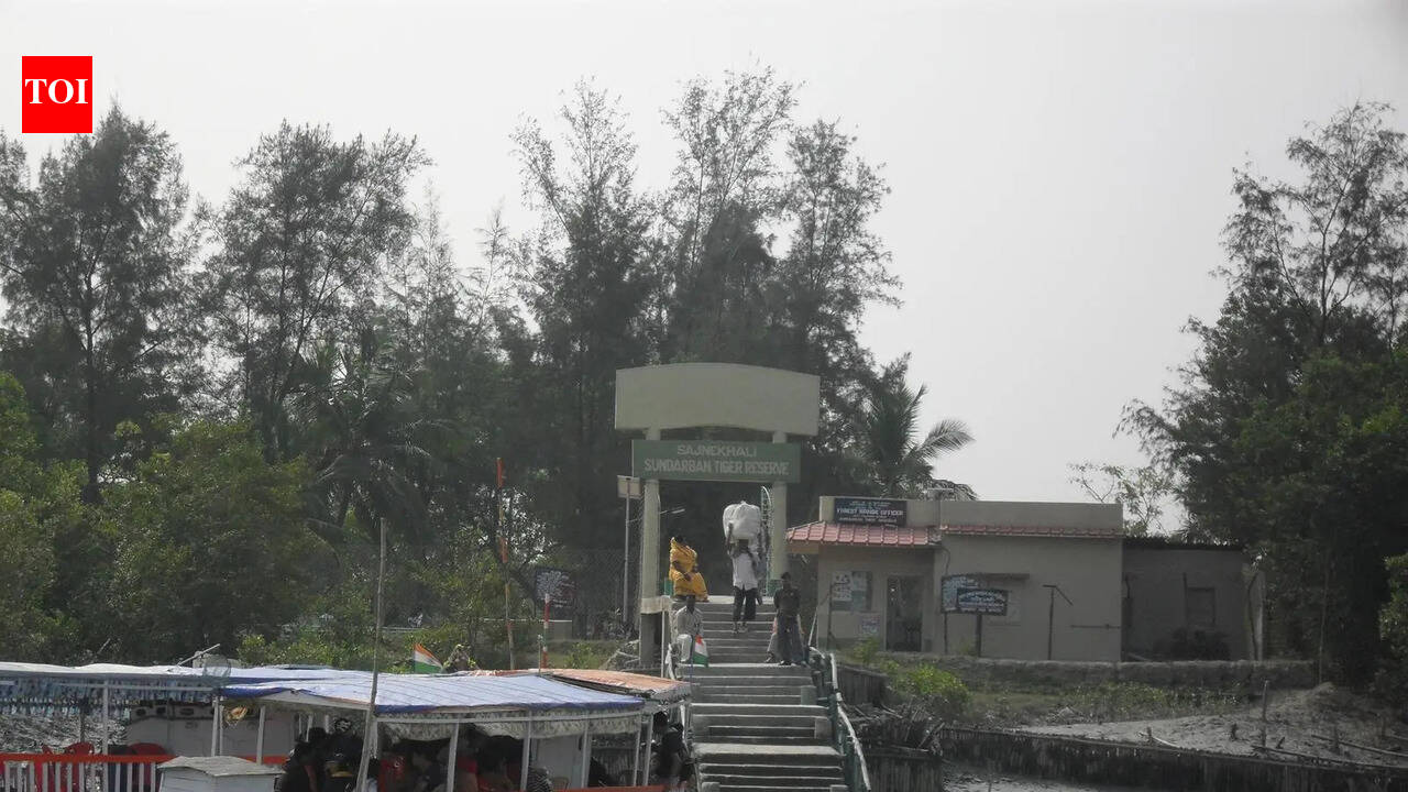 Guide confusion worry for Sundarbans tourism