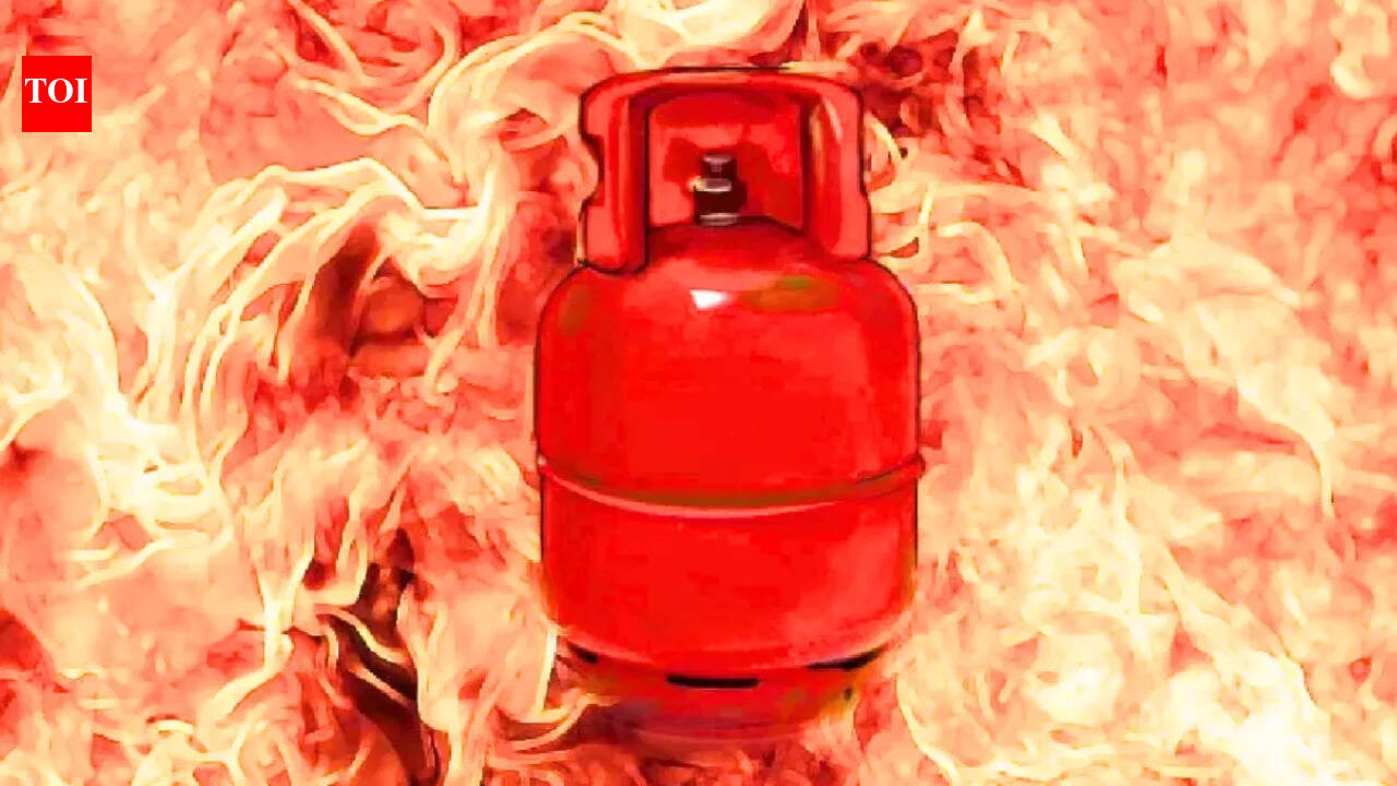 Four injured as LPG cylinder bursts at food stall in Delhi