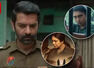 Best suspense thrillers to add to your watch list