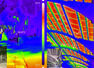Thermal Scans Expose Urban Heat: Citizen images show 60&deg;C pavements; trees emerge key cooling tool