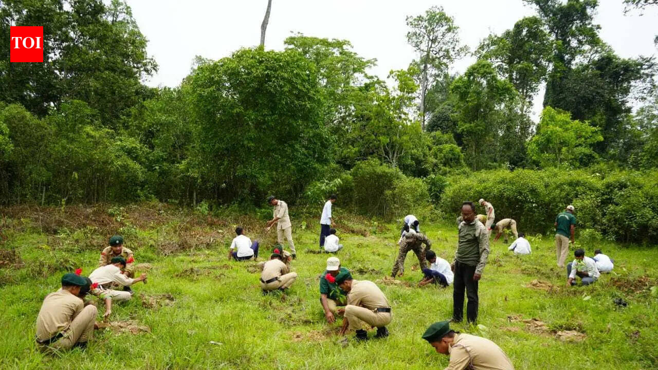 Army, forest dept plant 10,000 saplings across upper Assam ahead of World Environment Day