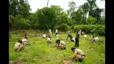 Army, forest dept plant 10,000 saplings across upper Assam ahead of World Environment Day