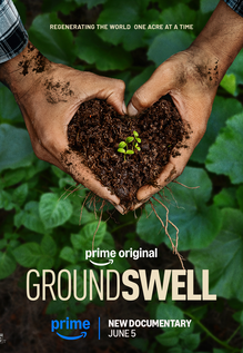 Groundswell