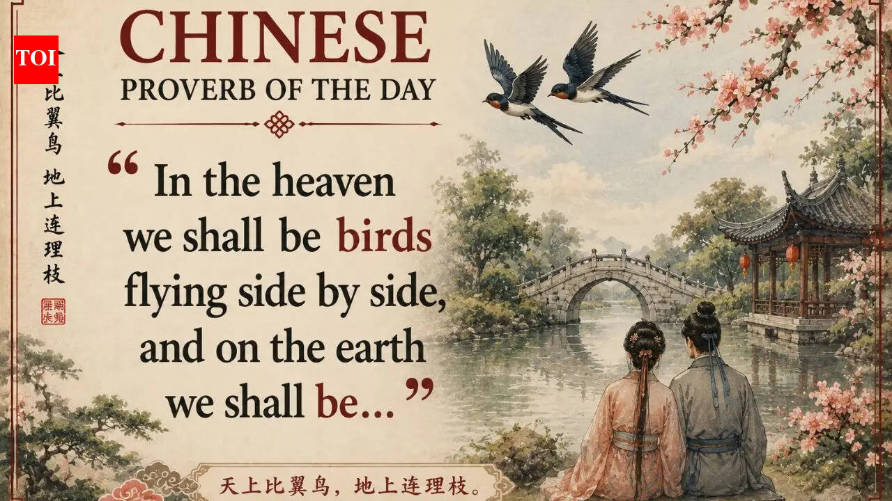 Chinese proverb of the day: “In the heaven we shall be birds flying side by side, and on the earth we shall be...”