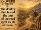Proverb of the day: &ldquo;The donkey that feared the dust of the road spent its life admiring...&rdquo;