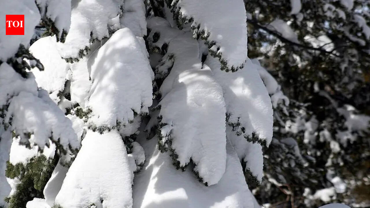 Scientists warn parts of the planet could freeze if a major ocean current collapses: These regions may stay relatively safer