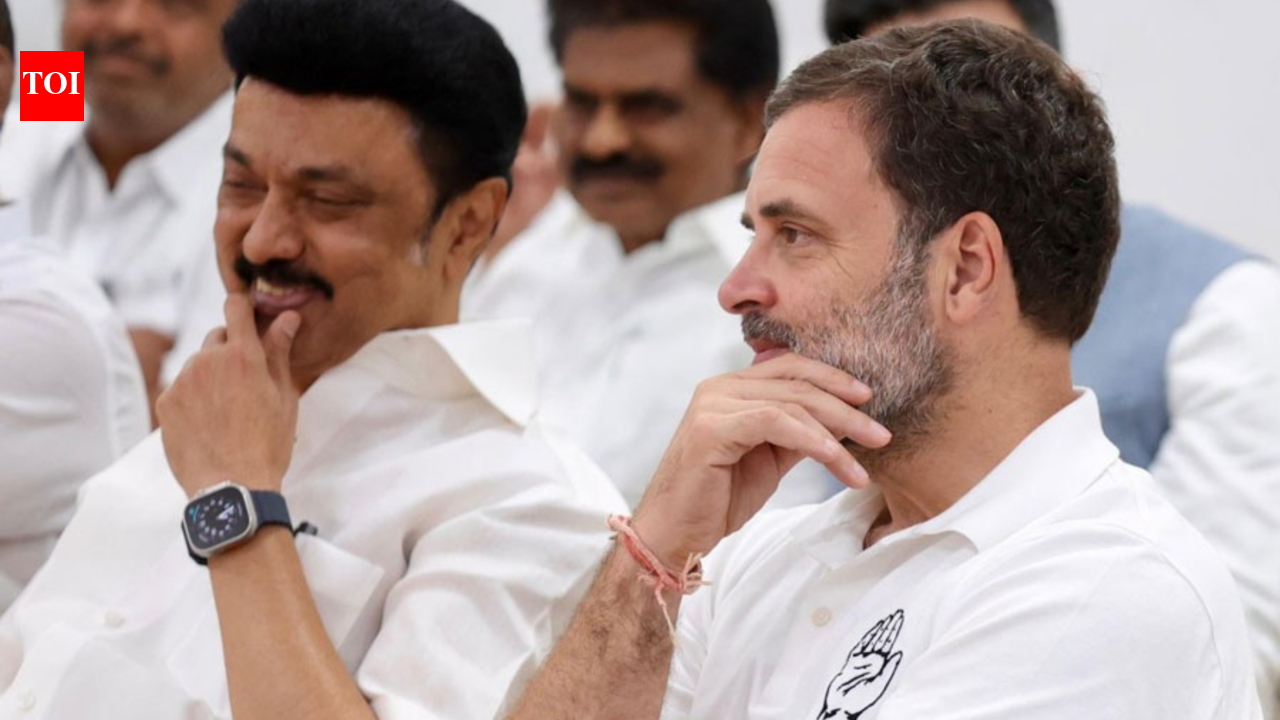 Tamil Nadu polls fallout: DMK to boycott INDIA bloc meet on June 8