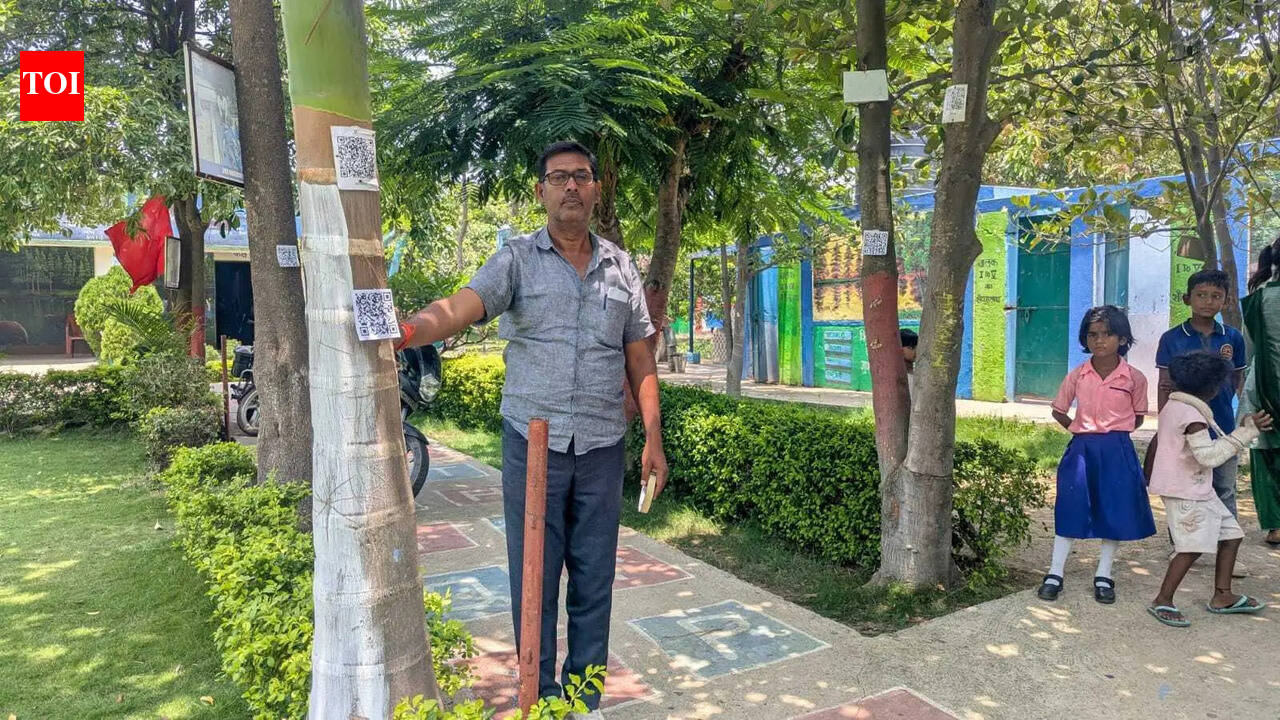 Chatra school trees speak through QR codes | Ranchi News - The Times of ...
