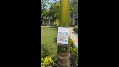 Chatra school trees speak through QR codes