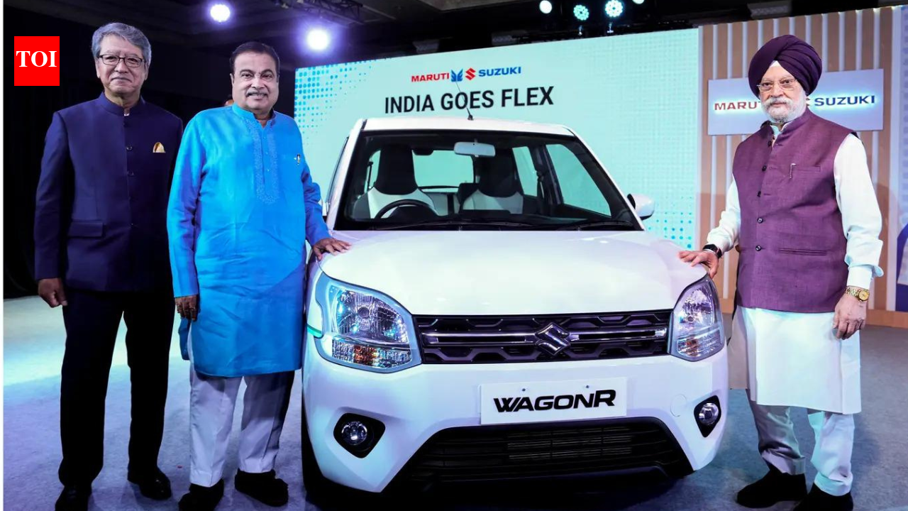 One vehicle, two fuels: India bets big on flex-fuel revolution - what is it?