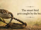 Greek proverb of the day: "The smart bird gets caught by the..."