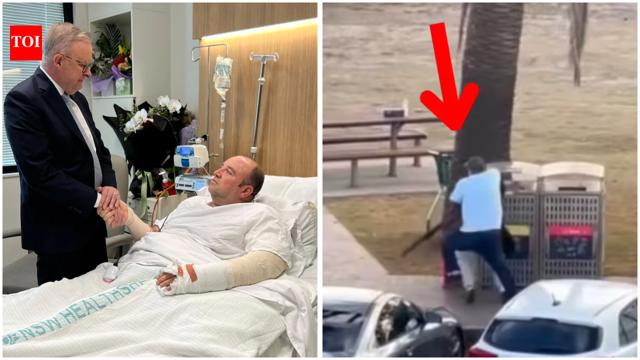Bondi attack hero Ahmed al-Ahmed charged with assaulting father: Report