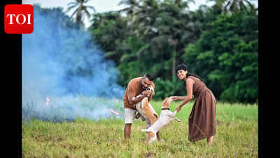 Pets take centre stage in Goa's weekend plans