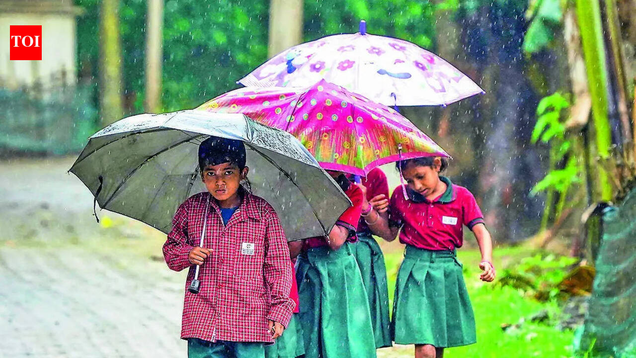 Monsoon in NE in 2–3 days, IMD warns of very heavy rain