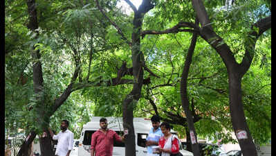 Two friends, 18 years & 468 trees: Bengaluru duo’s commitment grows into canopy