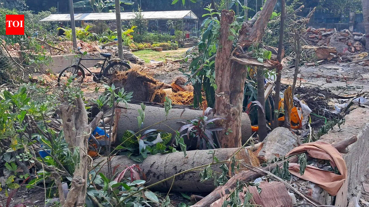 Assam lost nearly 3.6 sq km of tree cover since ’01: Global study