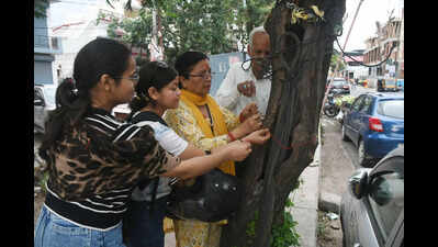 Residents protest proposed felling of 700+ trees for Kimadi-Mussoorie road widening