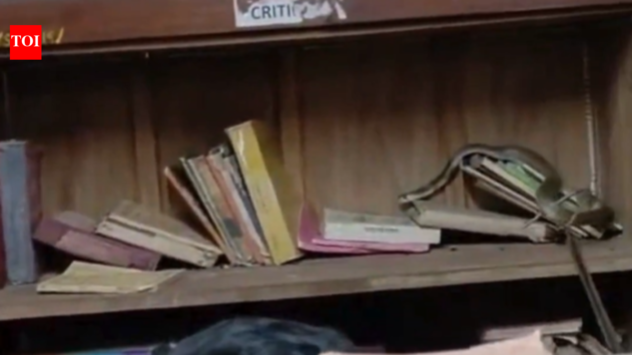 Cobra hides among library books, triggers panic at Kerala college campus