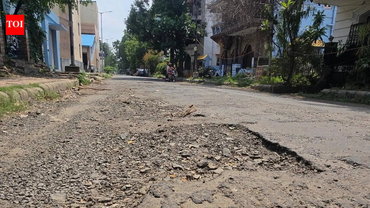 Salt Lake MLA visits BMC HQ, cracks road whip