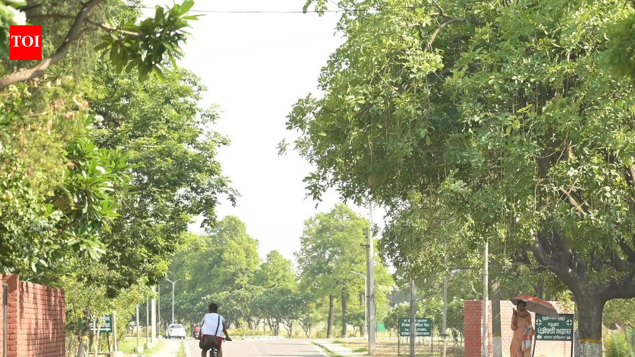 Ludhiana logs zero ‘poor' AQI days in 2026: Report
