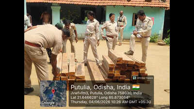 Sal timber worth Rs 1.5L seized