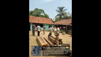 Sal timber worth Rs 1.5L seized