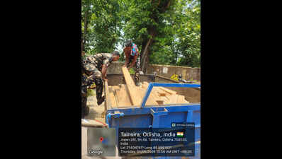 Sal timber worth Rs 1.5L seized